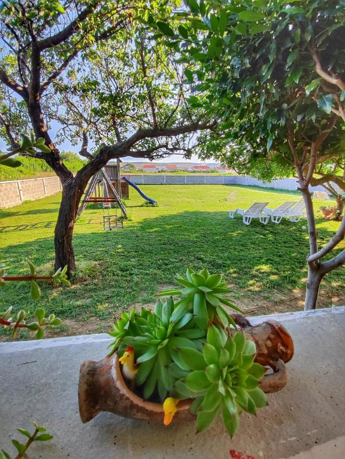 House Rose With Garden And Pool Holiday home Ljubac (Zadar)